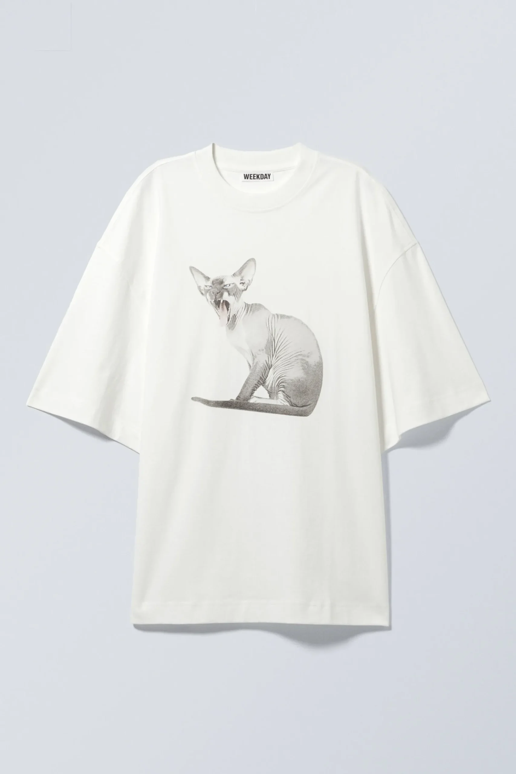 Weekday WIDE OVERSIZED PRINTED T-SHIRT white sphynx cat Discount