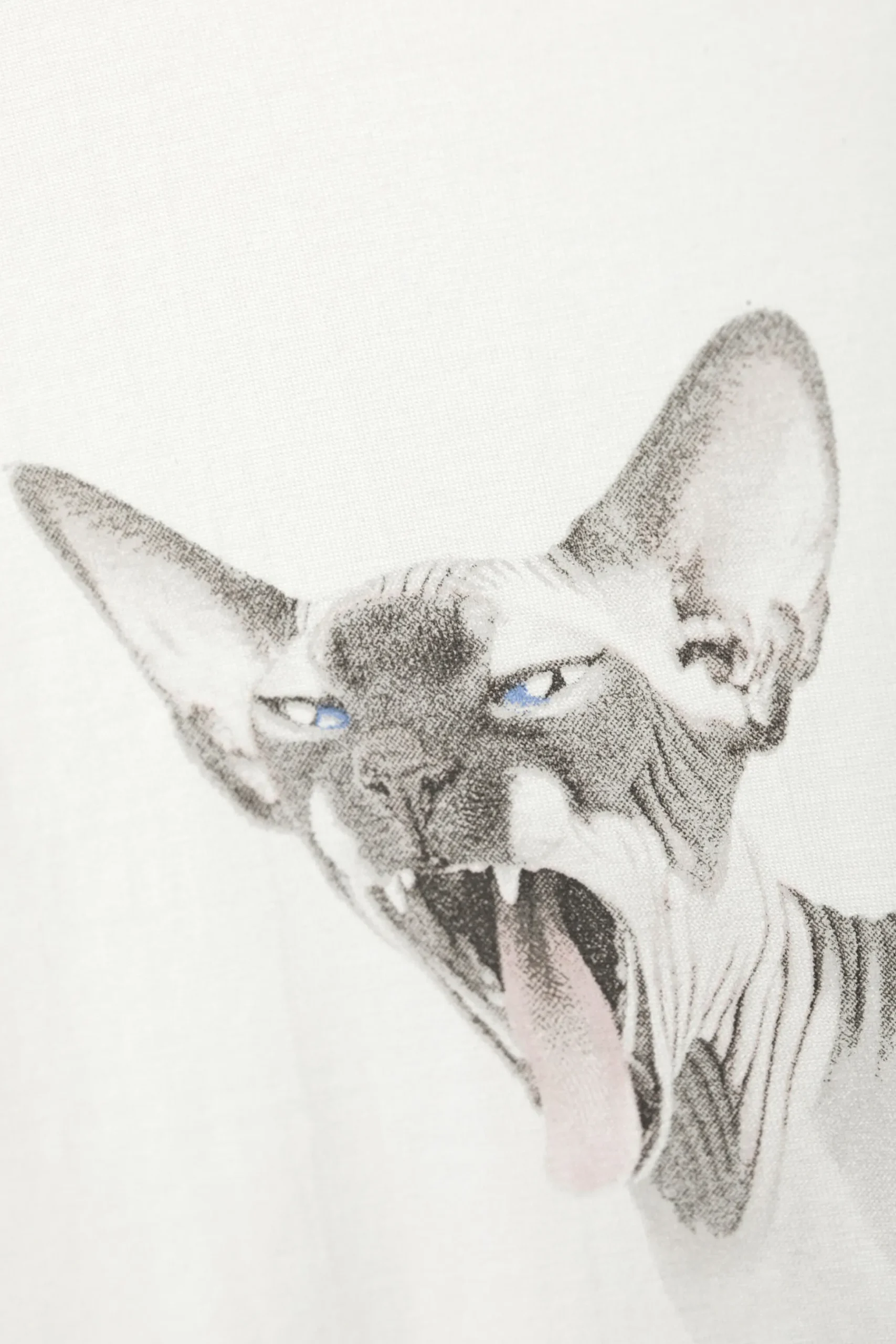 Weekday WIDE OVERSIZED PRINTED T-SHIRT white sphynx cat Discount